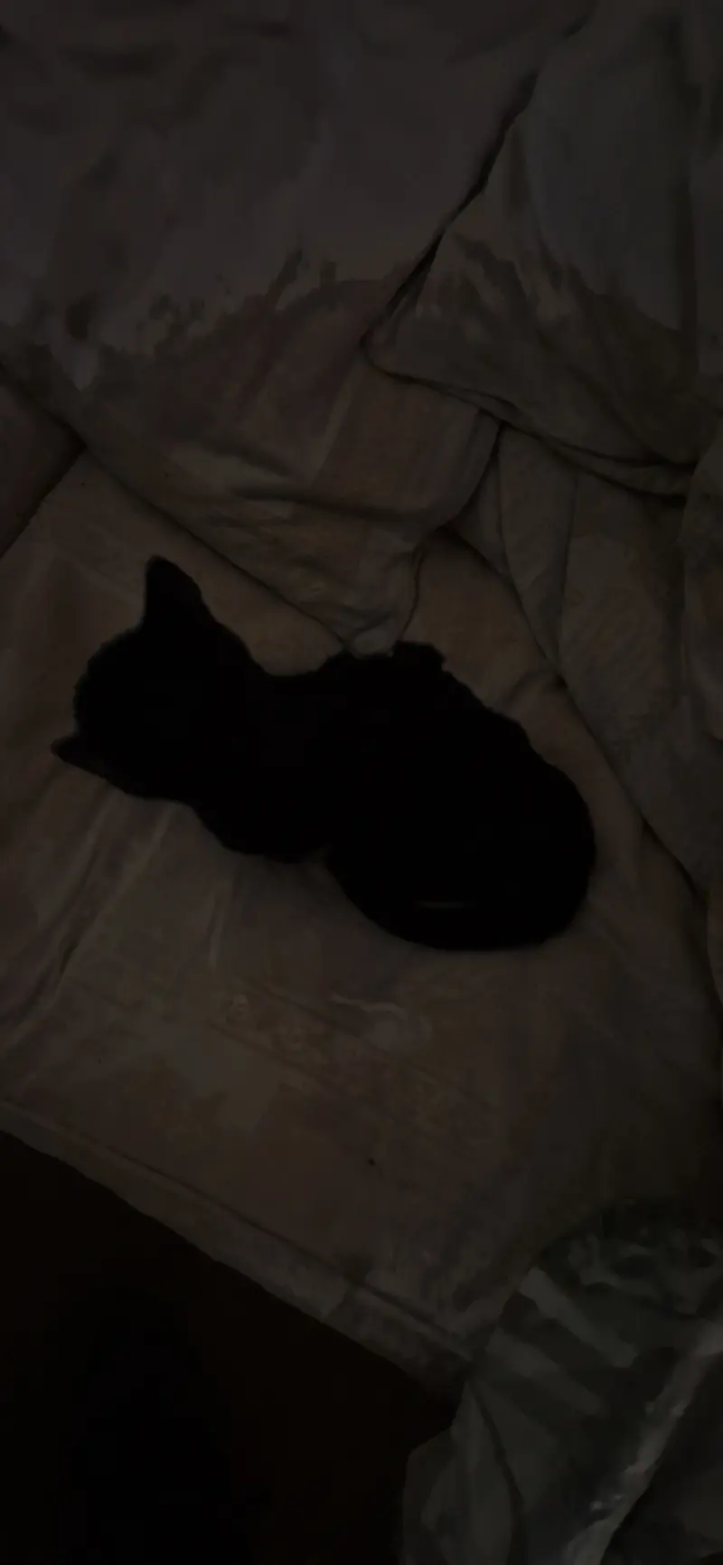 BigSam (18) male from GB - sexting partner