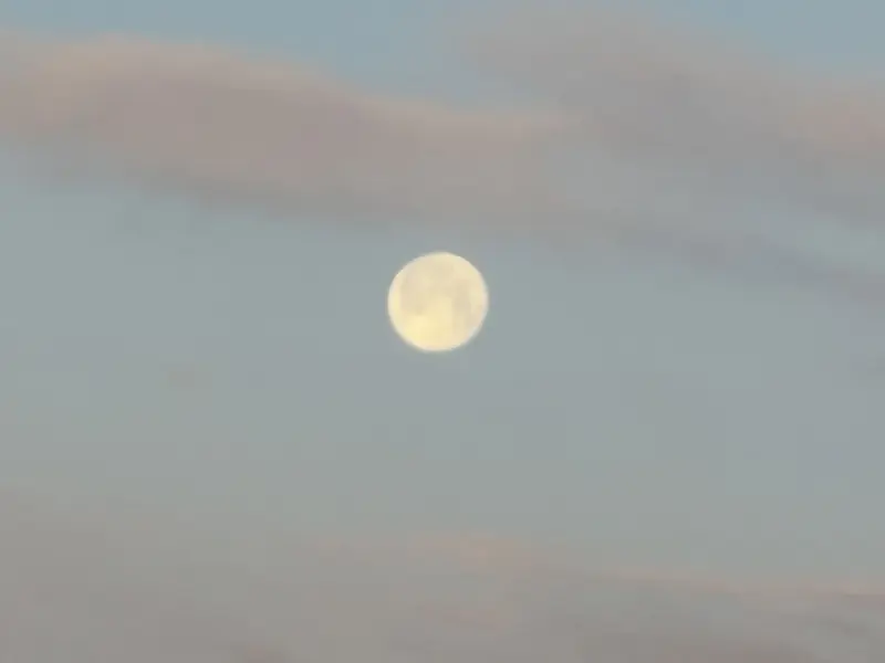 Chris_Bernasconi (18) male from US - sexting partner