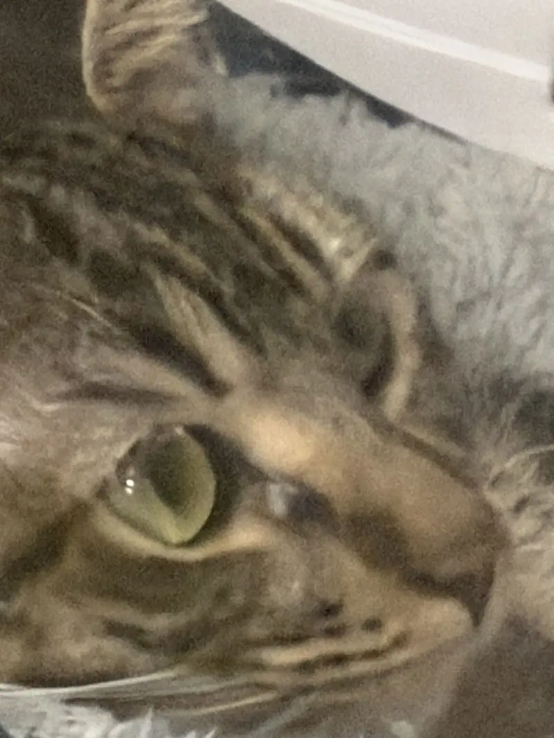 Nikeflim (18) male from US - sexting partner