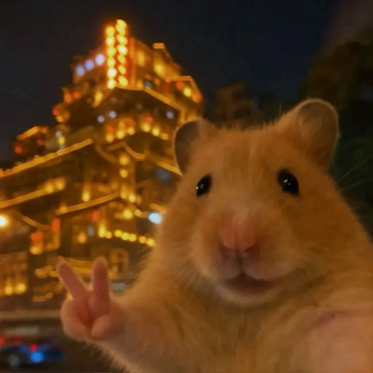 Shefo (18) male from EG - sexting partner