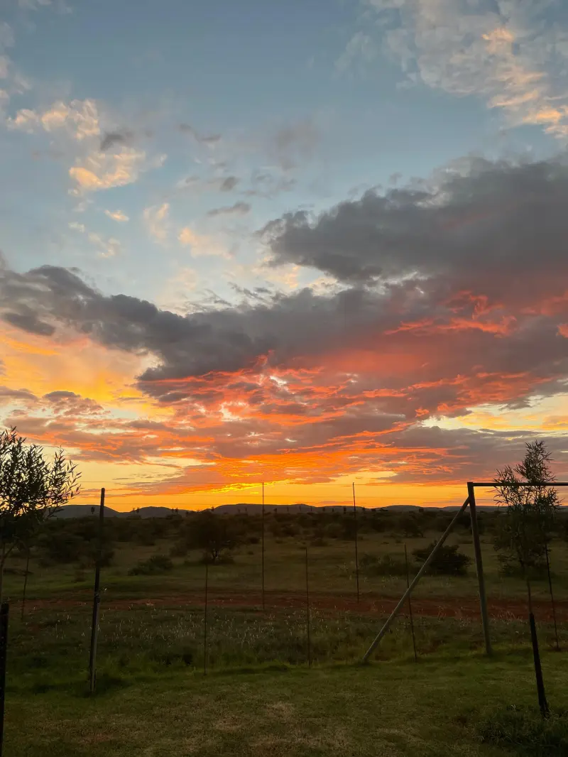 Slack (18) male from ZA - sexting partner