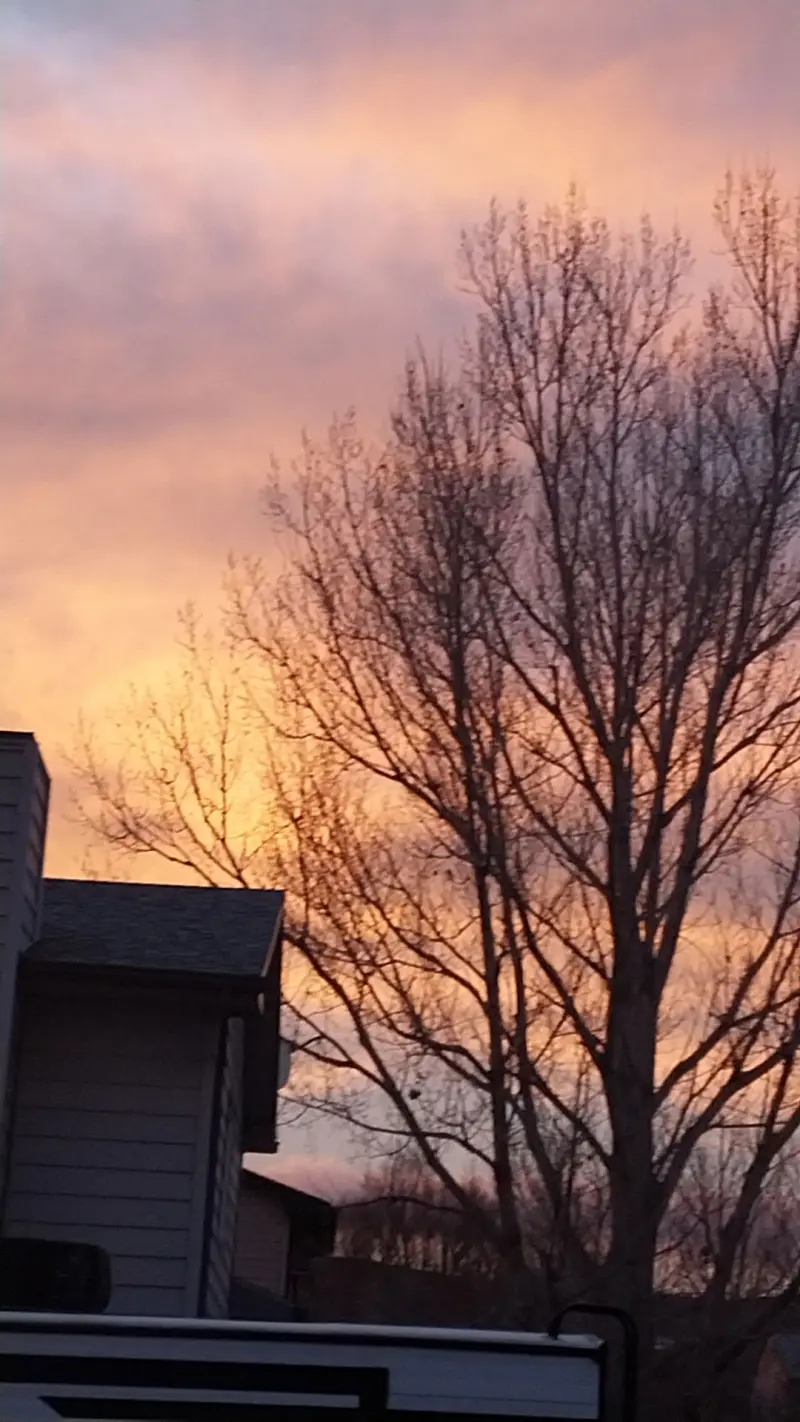 Thomas1285087 (18) male from AU - sexting partner