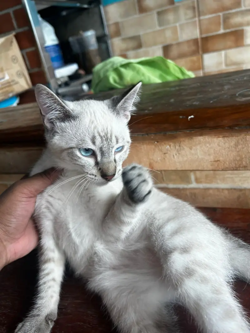 Yuta (18) male from AR - sexting partner