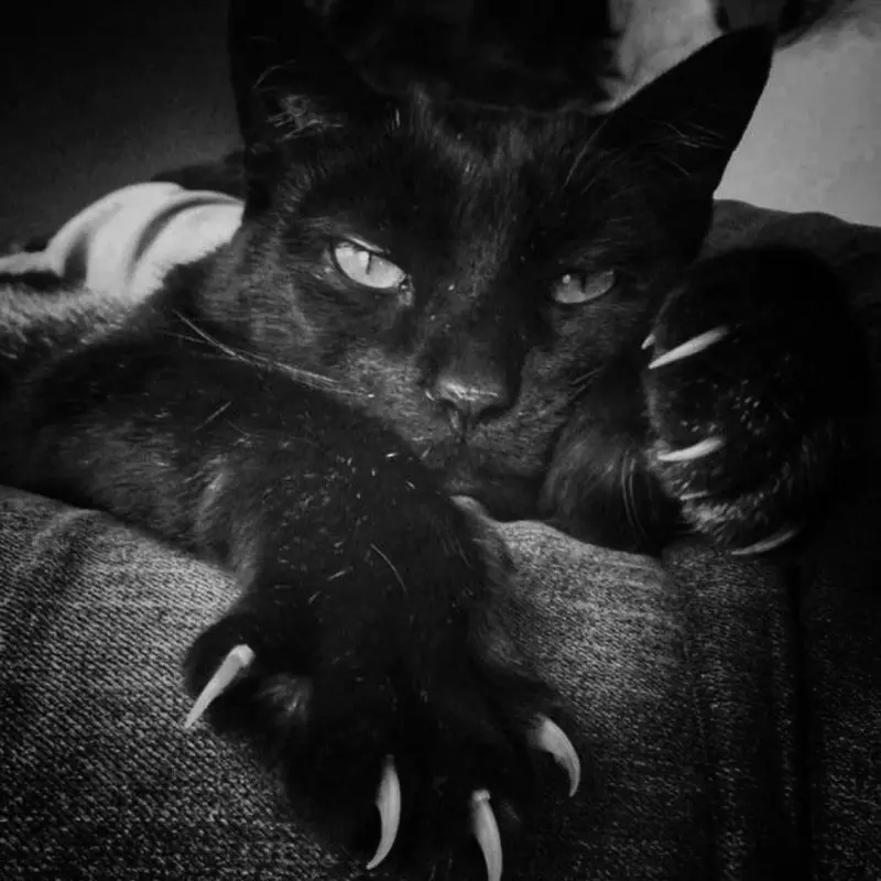 carlosjean52564 (18) female from FR - sexting partner