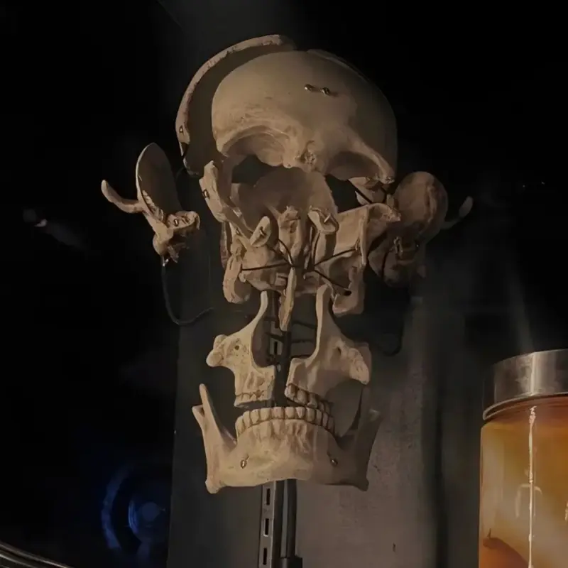 carmonaf3429 (18) male from US - sexting partner