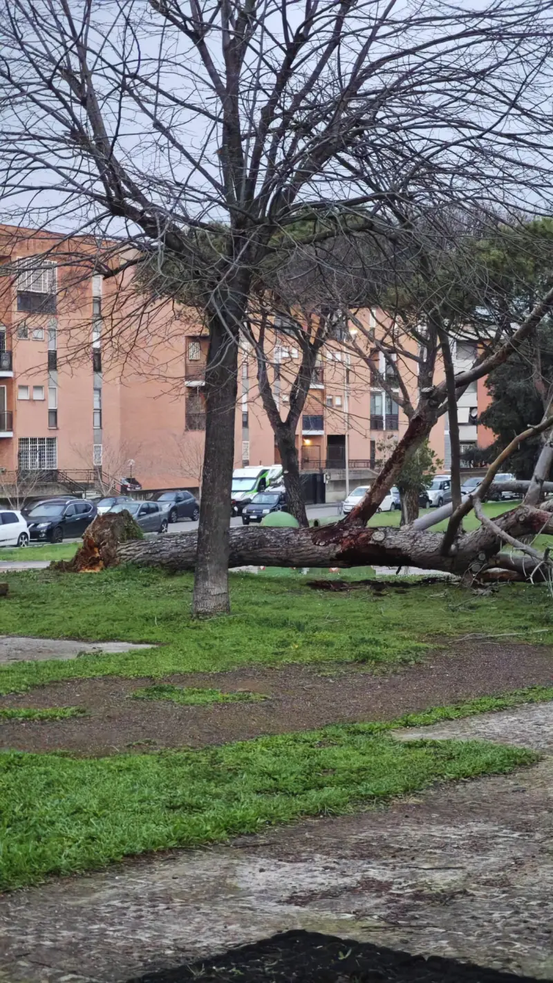 chec (18) male from IT - sexting partner