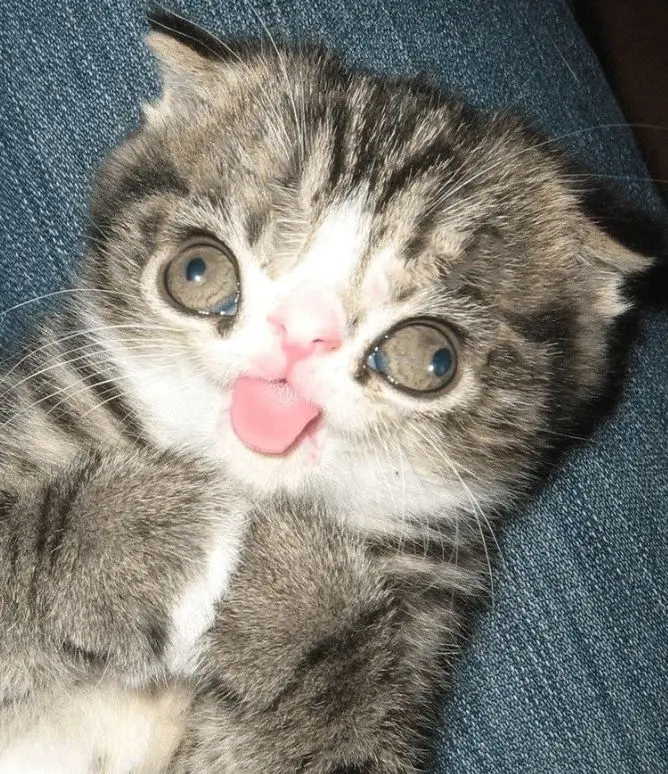 chilldude0011 (18) male from BA - sexting partner