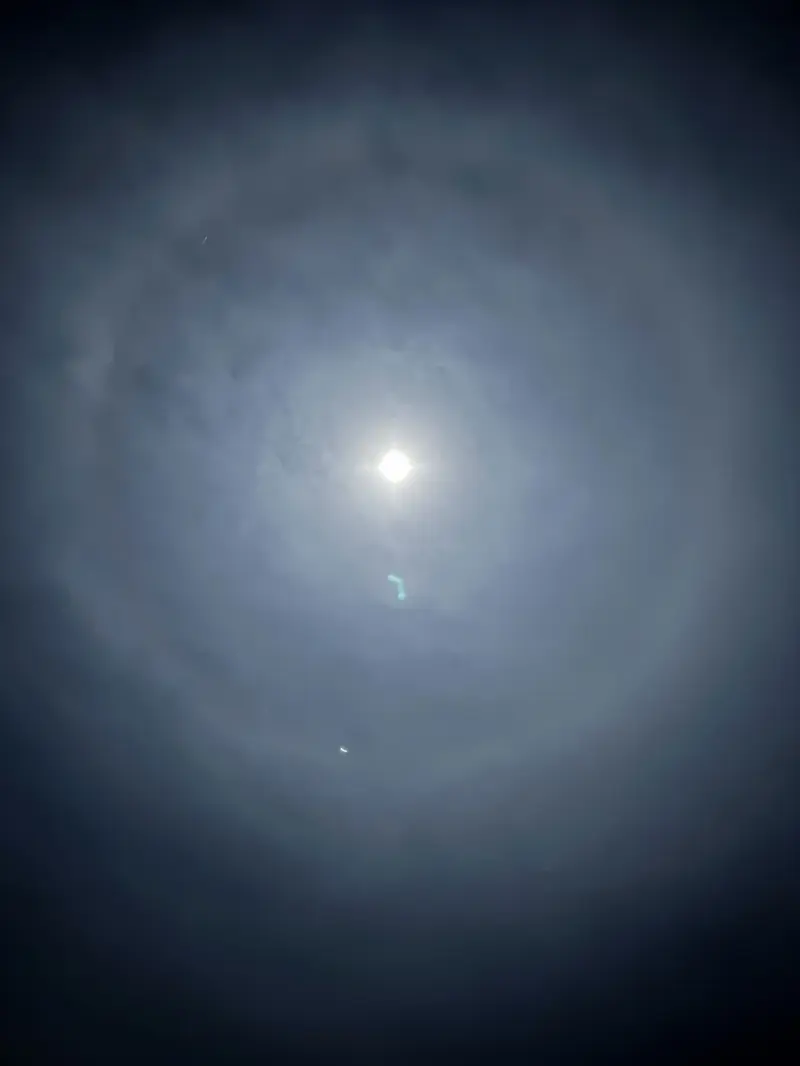 cjcurtis888 (18) male from US - sexting partner