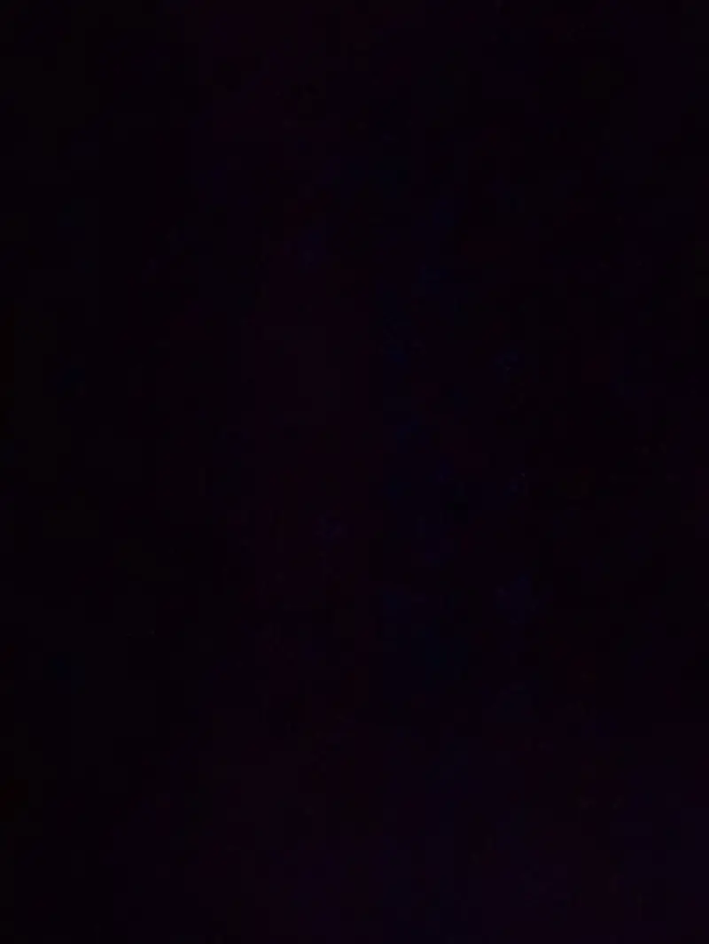 darka4990 (18) male from US - sexting partner