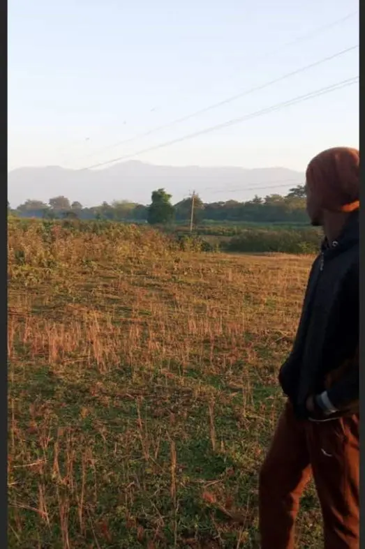 deeporaon553 from IN