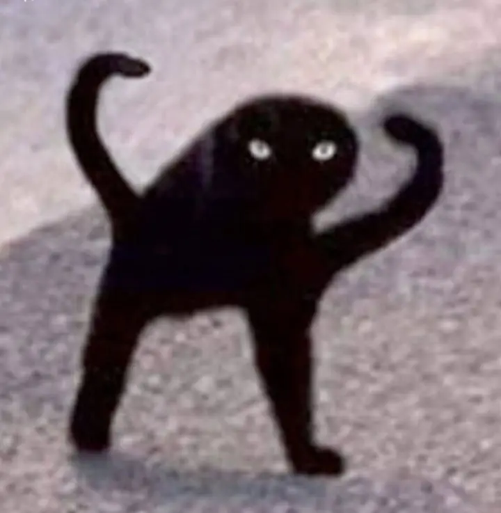 dill40055 (25) male from US - sexting partner