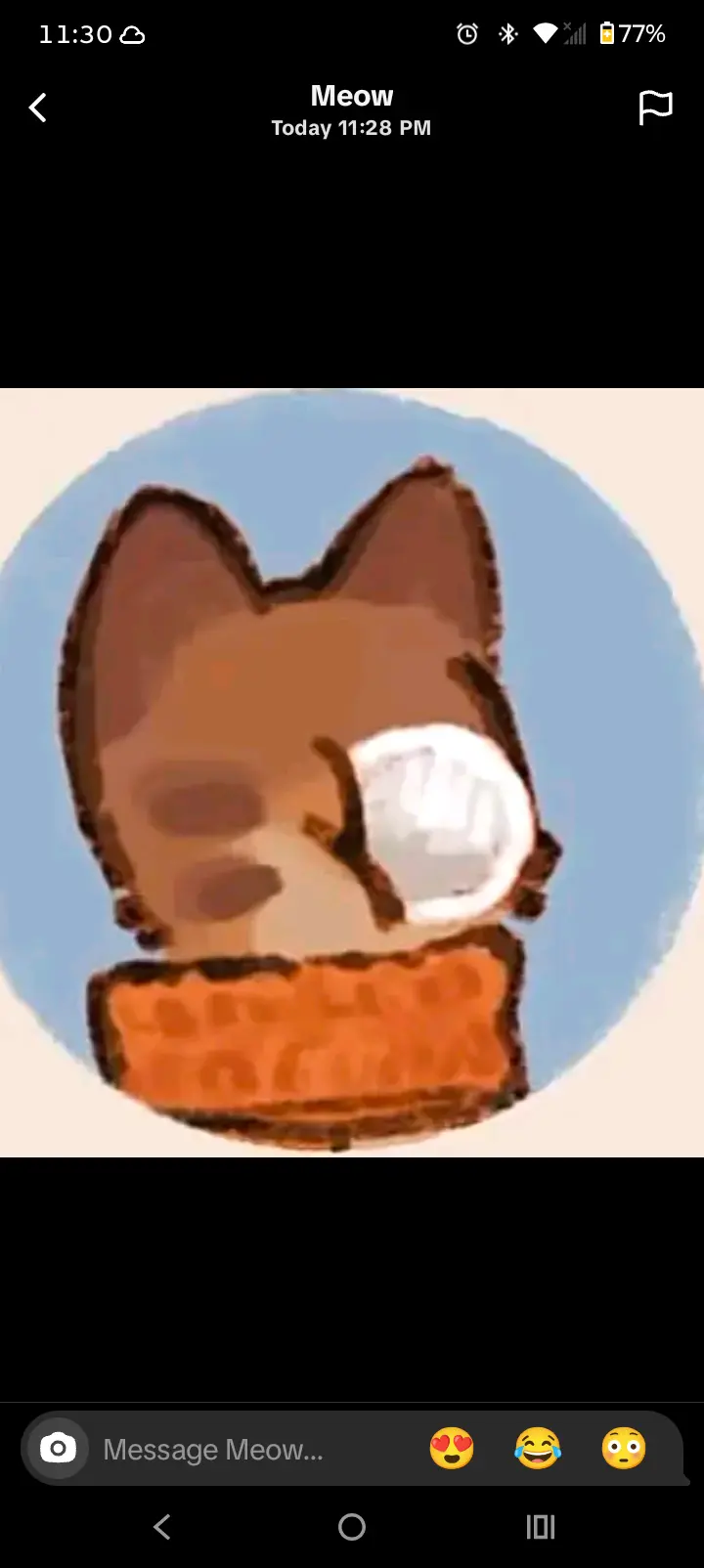 dumbfemboy (18) male from AF - sexting partner