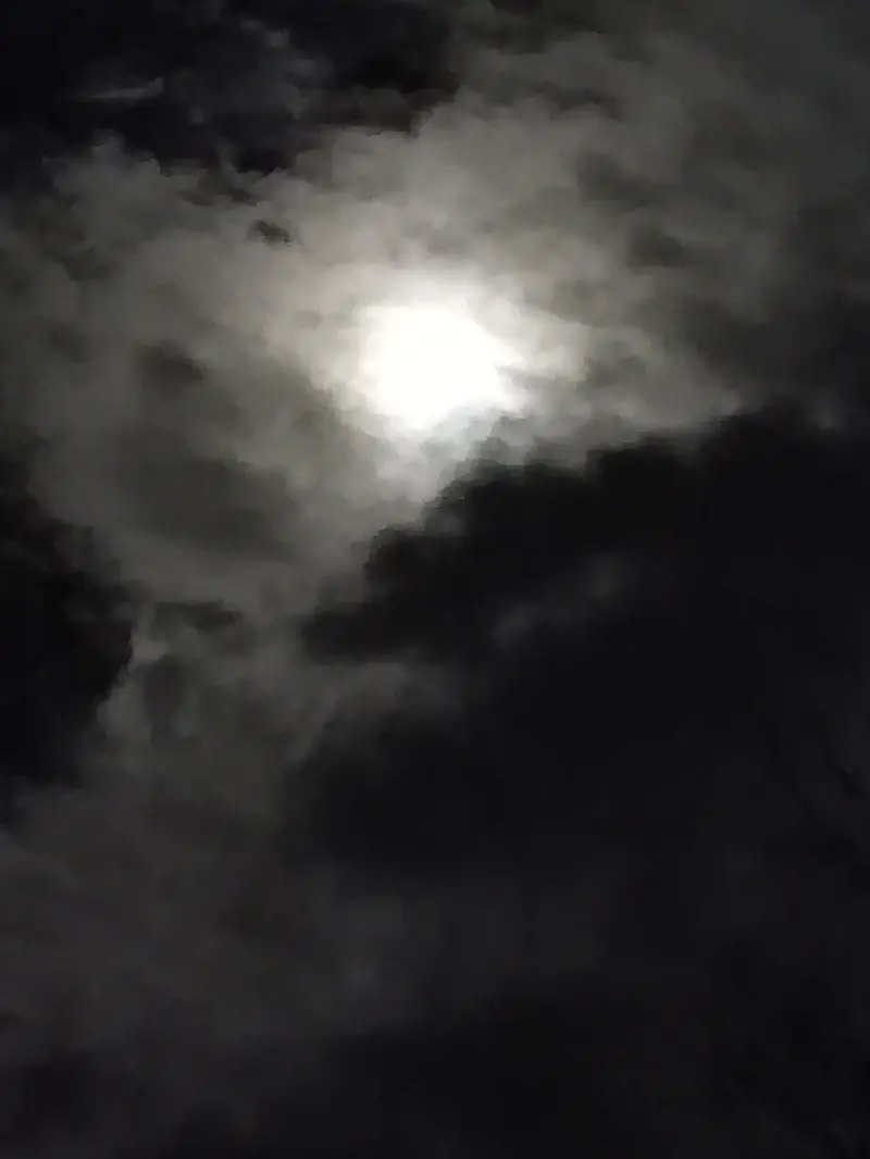 emanarmstrong (18) male from US - sexting partner