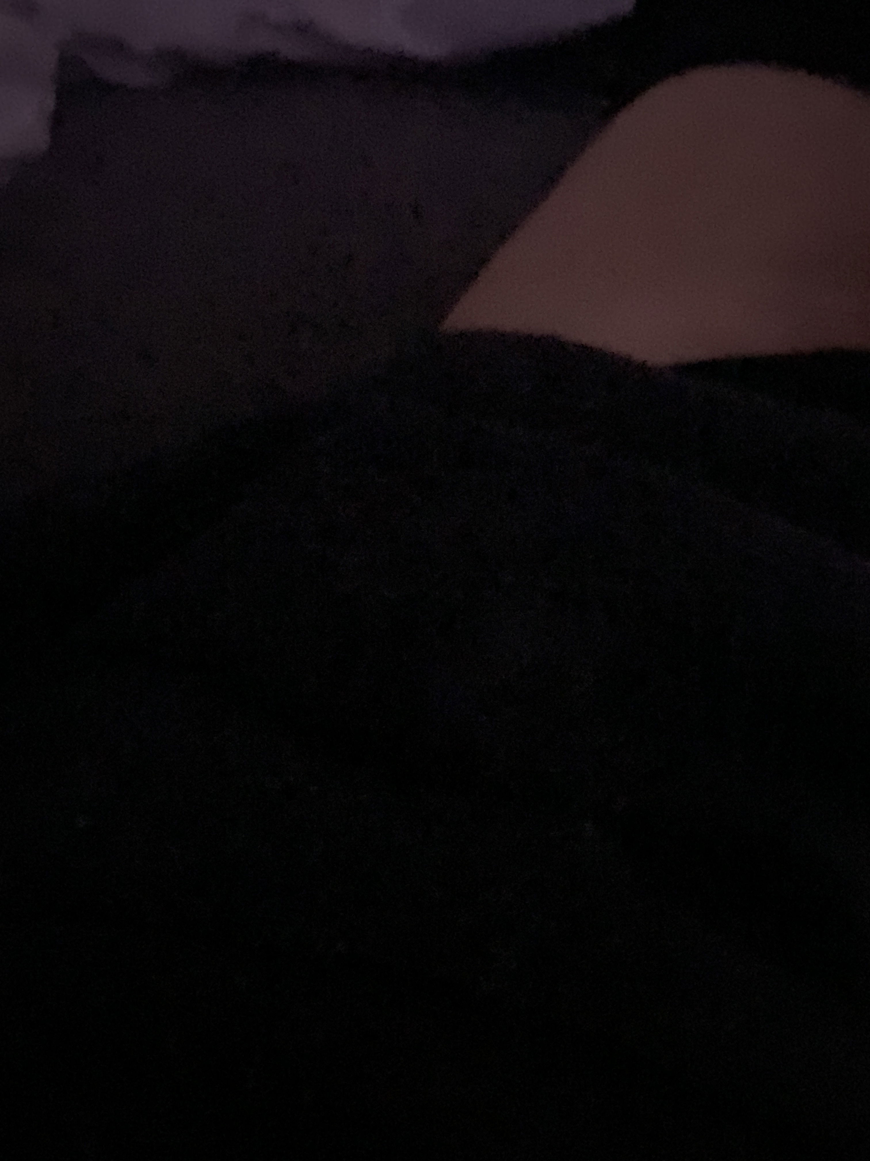 filipgilberson from SE