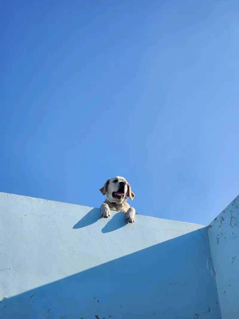 fisherr (18) male from IN - sexting partner