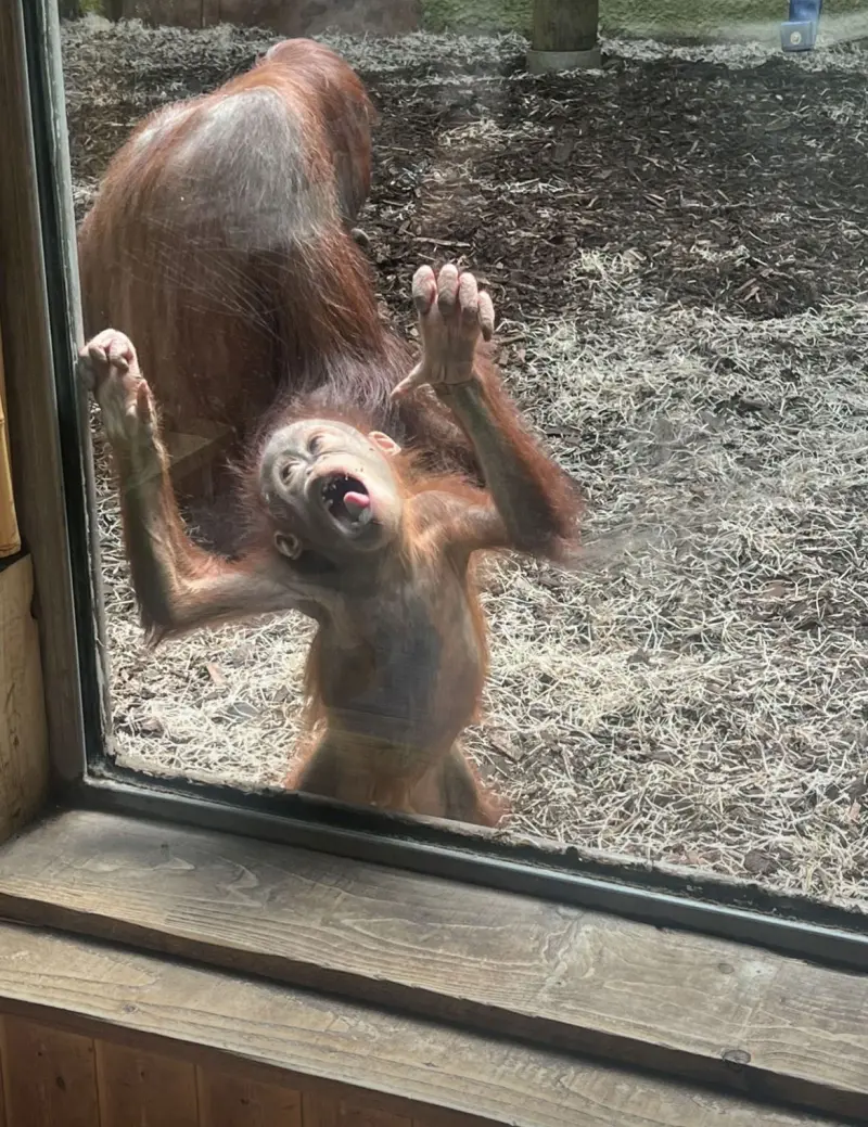 jaysonthebestateverything (19) male from US - sexting partner