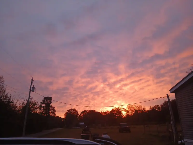 jim994250 (18) male from US - sexting partner