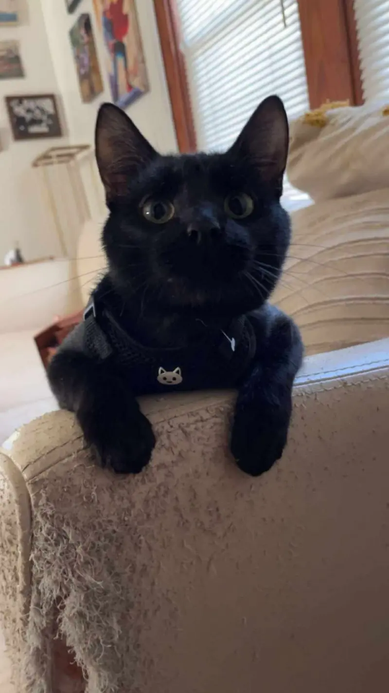 jo5168329 (18) female from US - sexting partner