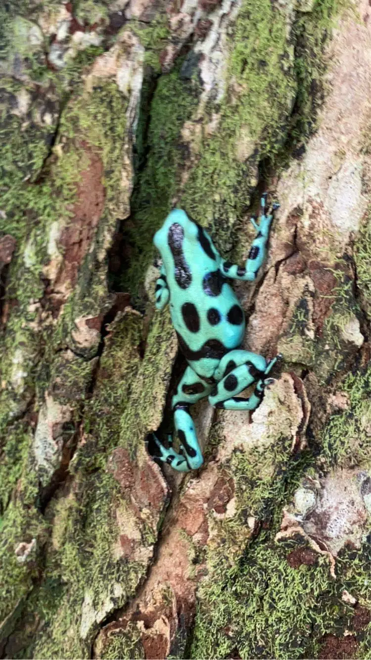 juttenkameron (18) male from AU - sexting partner