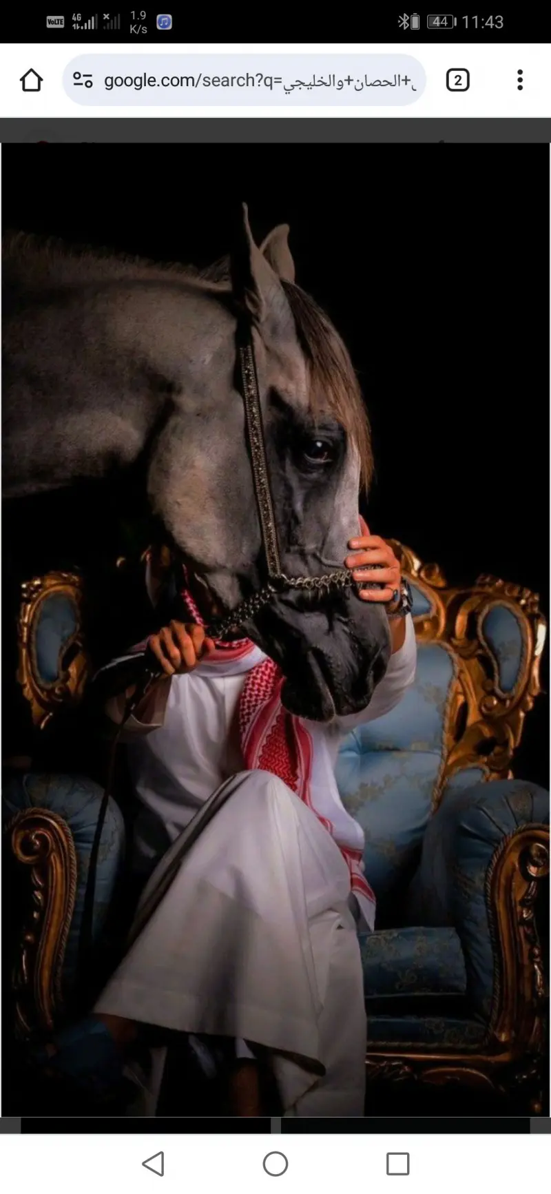 kambalomer30 (18) male from OM - sexting partner