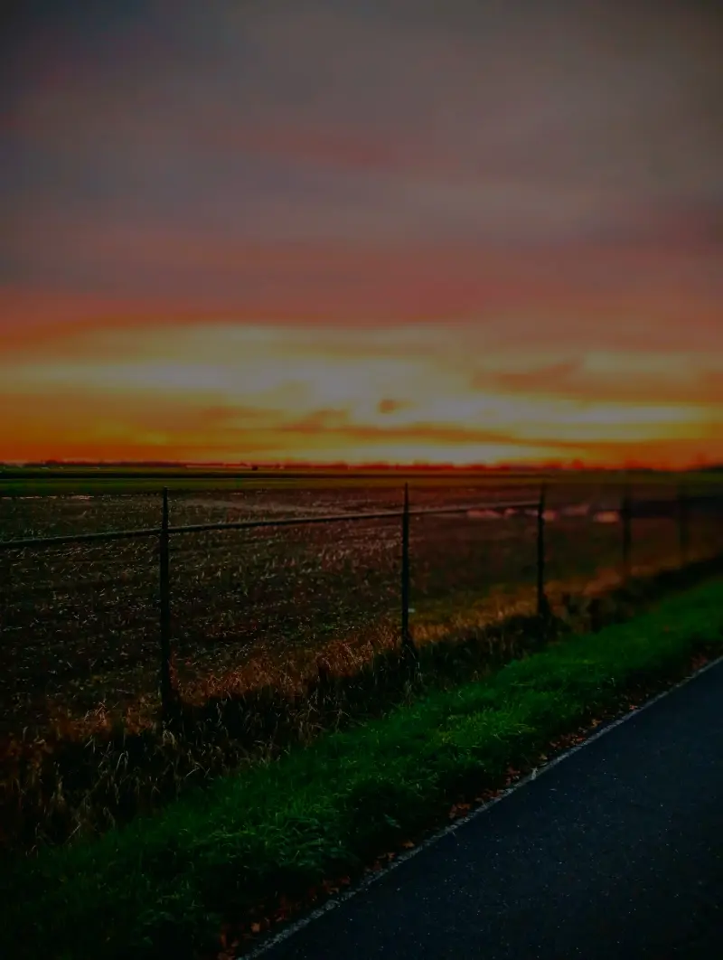 kynan7859 (18) male from NL - sexting partner