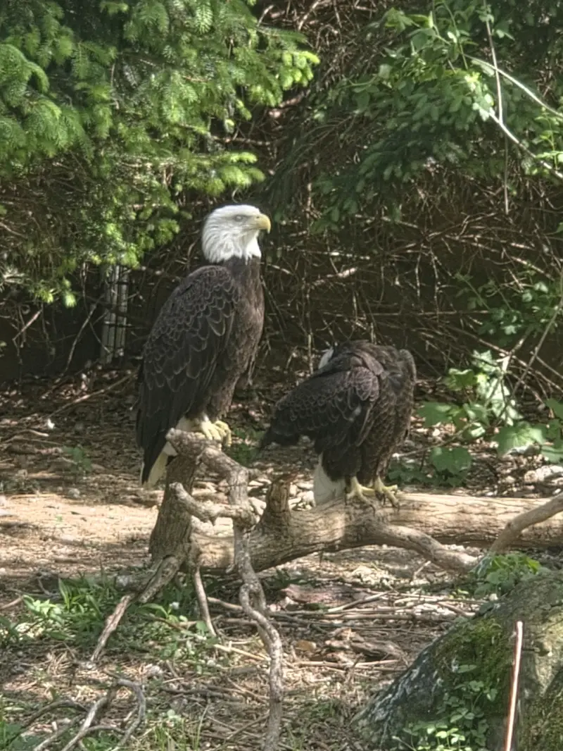 larryjenkins4794 (18) male from US - sexting partner