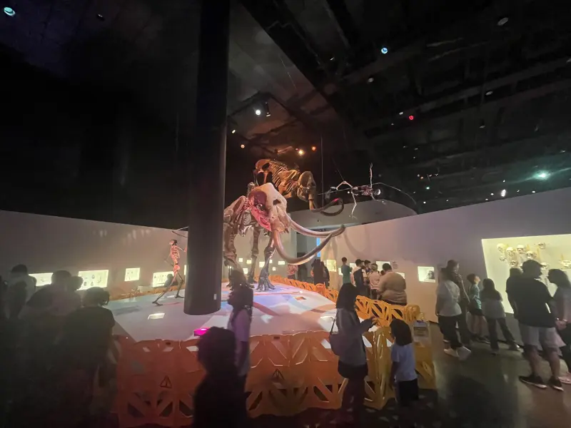 loganlunday619 (18) male from US - sexting partner