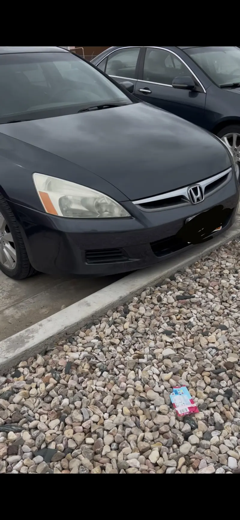 lookin4frekkkk (18) female from US - sexting partner