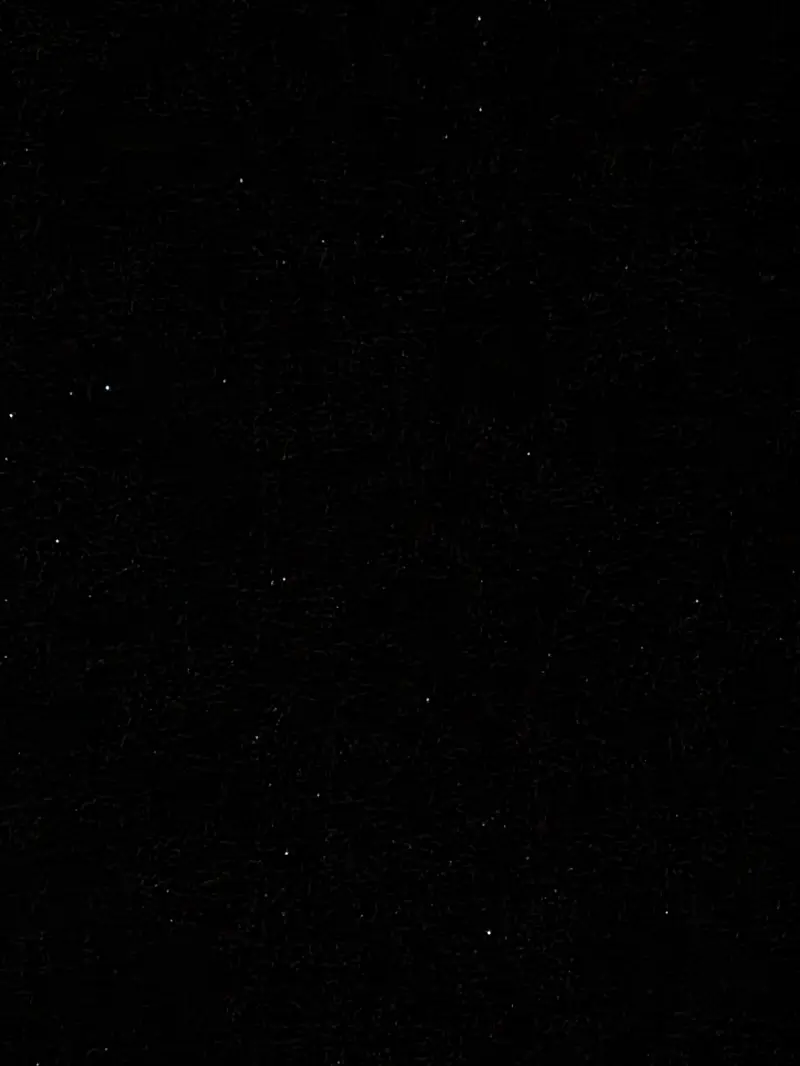 maoribum5 (24) male from NZ - sexting partner