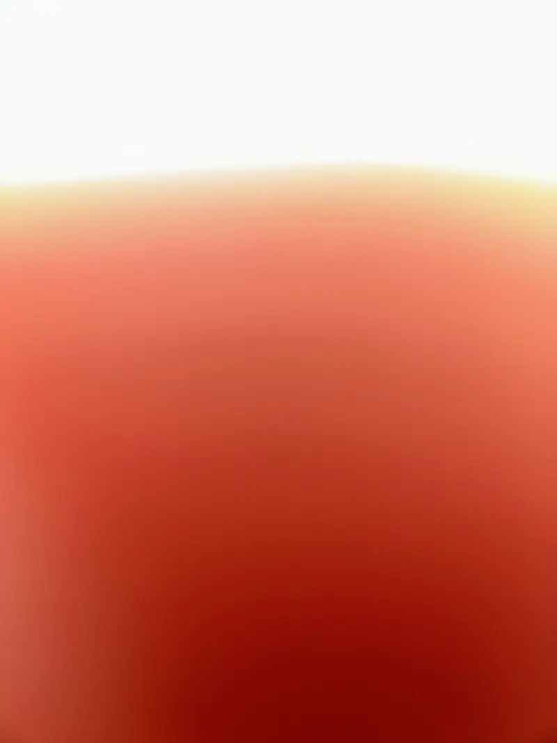 megatrex1717 from US