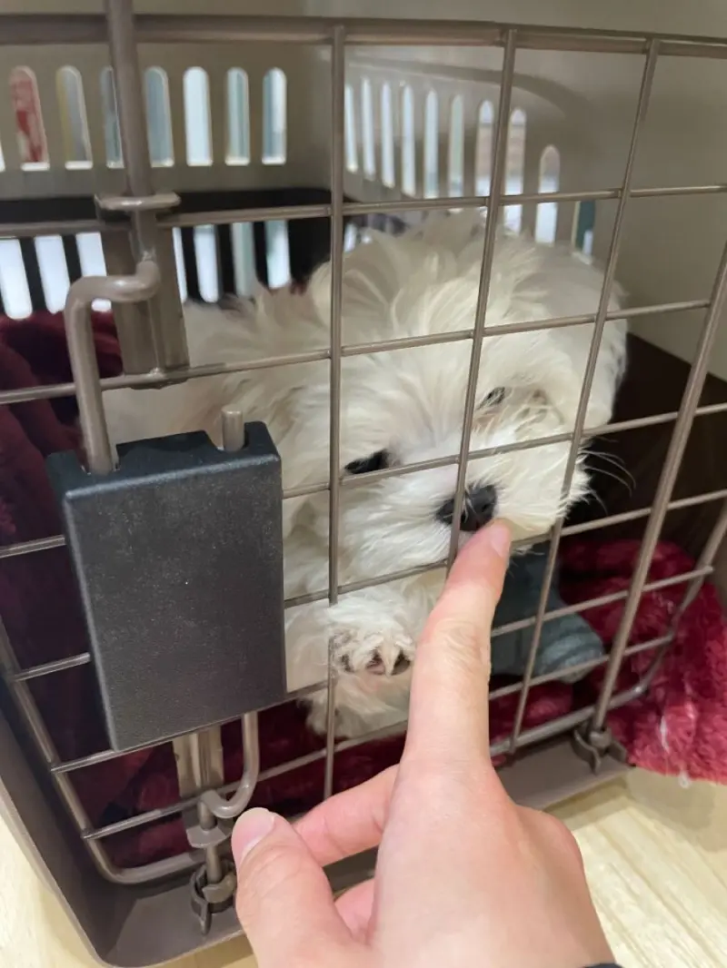 mymailsender8 (18) female from US - sexting partner