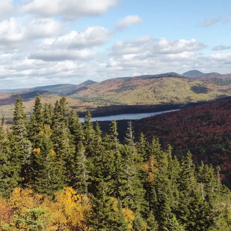 nasa31 (18) male from CA - sexting partner