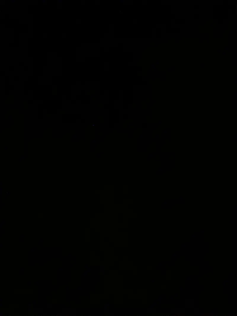 nathanielcolligan3 (20) male from US - sexting partner