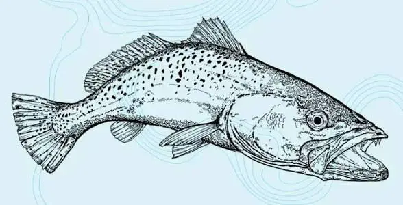 pocknick5 (18) male from US - sexting partner