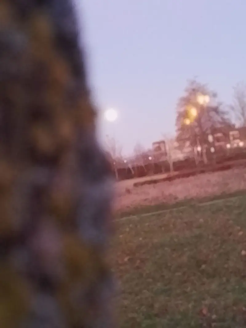 pretlover (18) male from GB - sexting partner