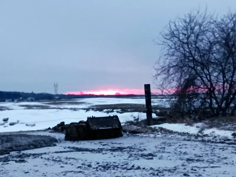 punksrielly (18) male from US - sexting partner