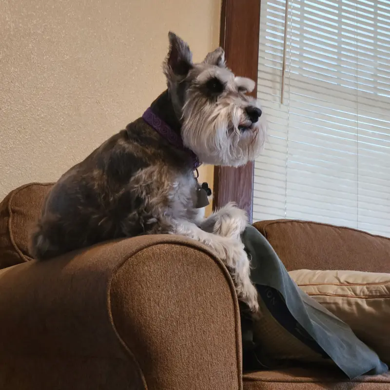 richardsg627 from US