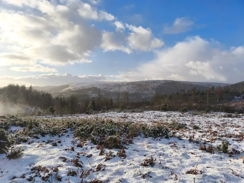 sarahtheonw (18) female from DE - sexting partner