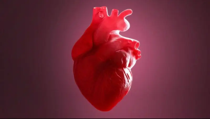 shoaibshoaibahmad87 from CA