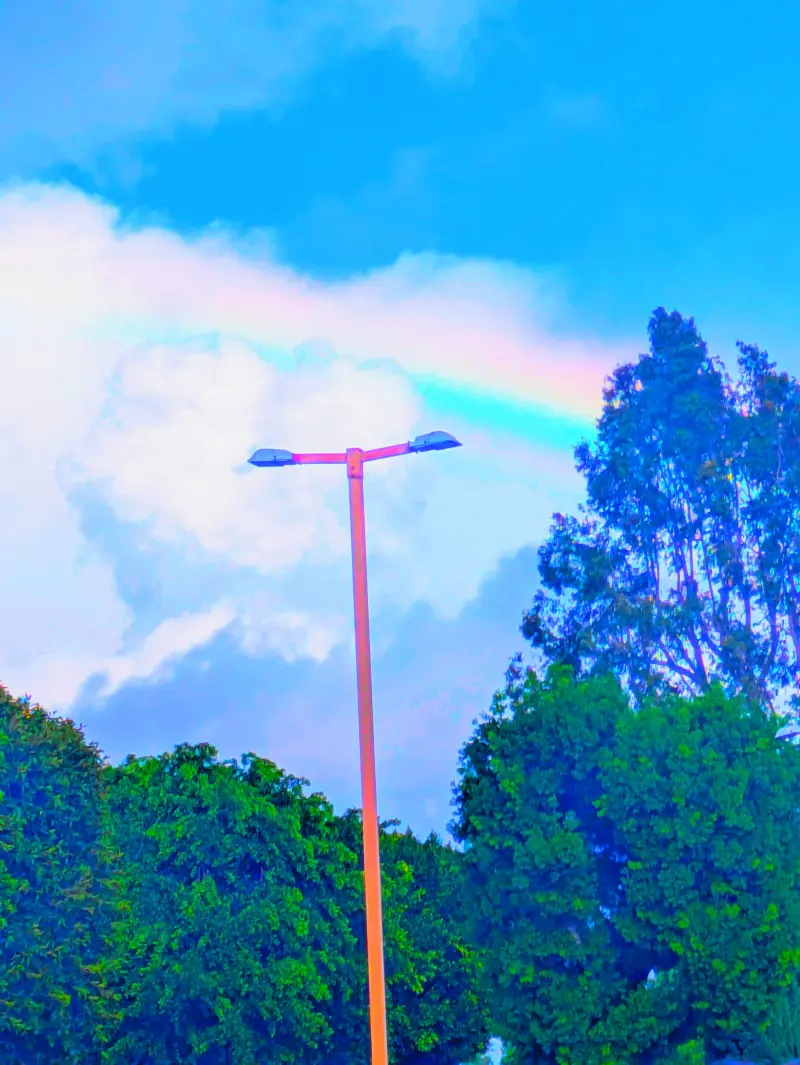 skylerpompe787 (18) male from US - sexting partner