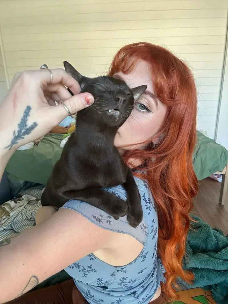 sselcenstochliya45 from US