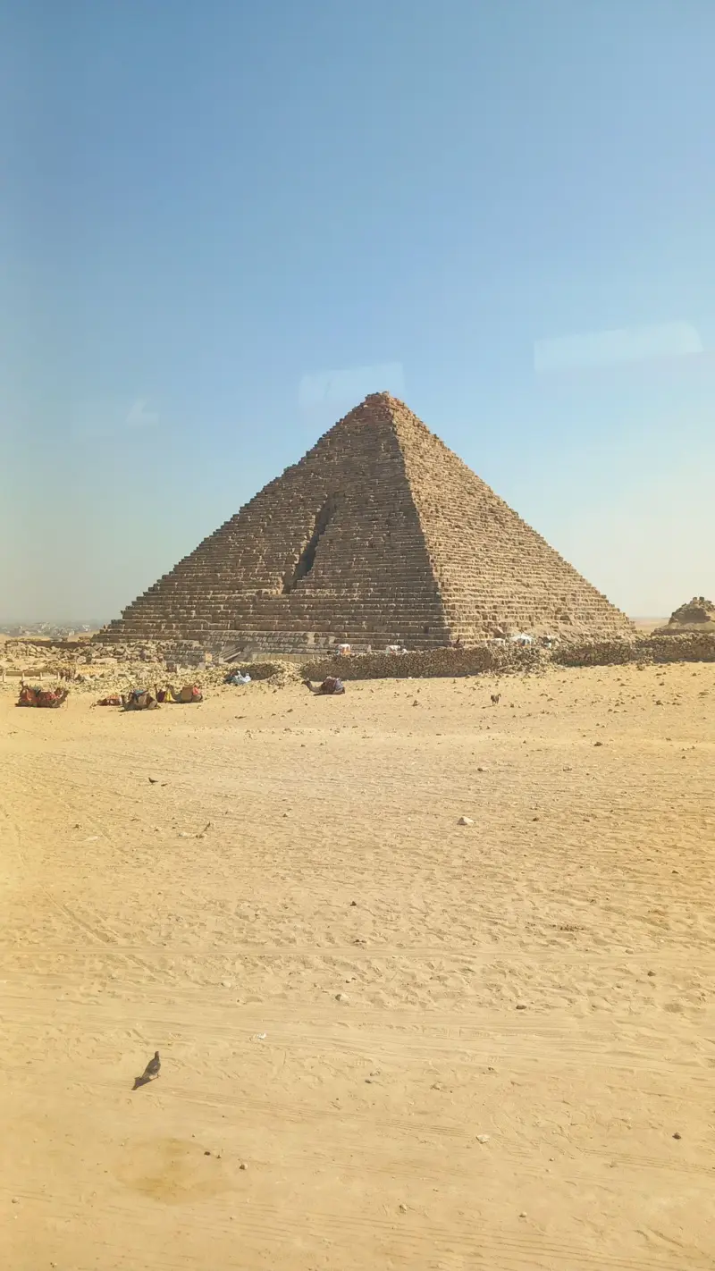 theman (18) male from DE - sexting partner