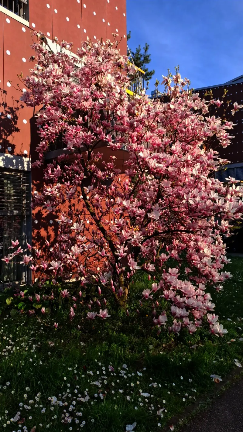 tian69 (18) male from SI - sexting partner