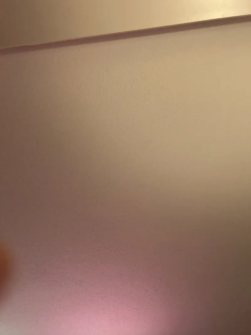 tonyneverfony (18) male from US - sexting partner