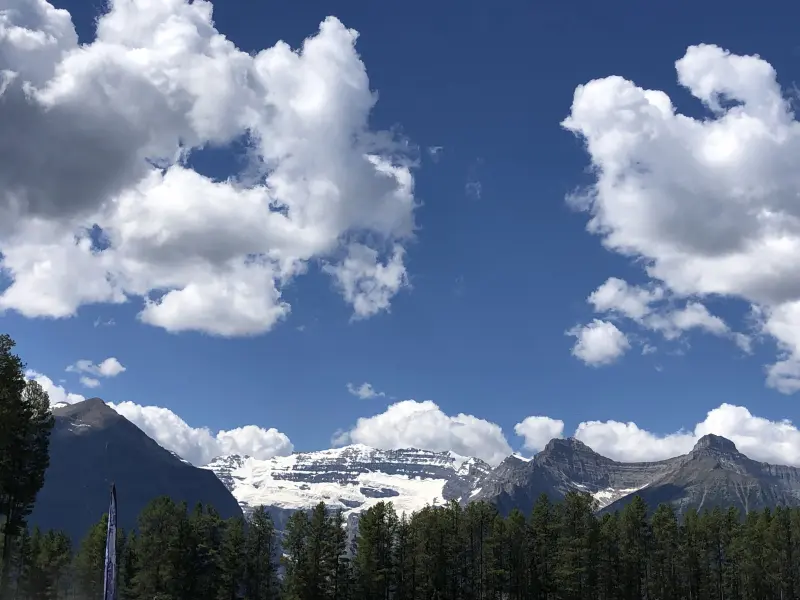 travistaves3915 (20) male from CA - sexting partner