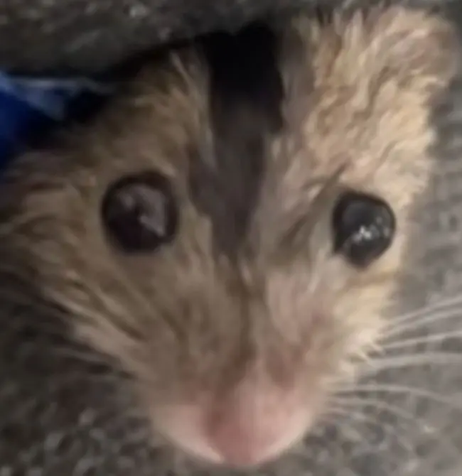 vladdy420 (18) male from GB - sexting partner