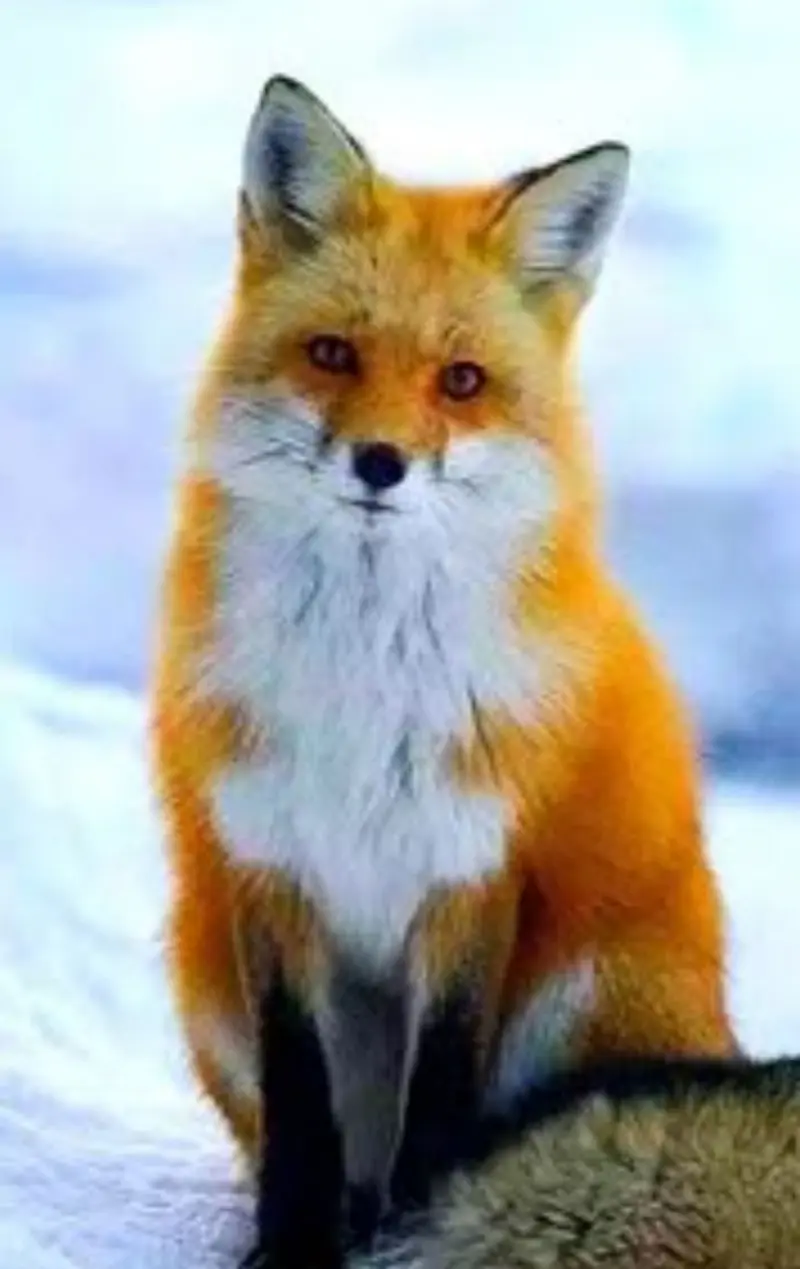 westerr599 (18) male from TR - sexting partner