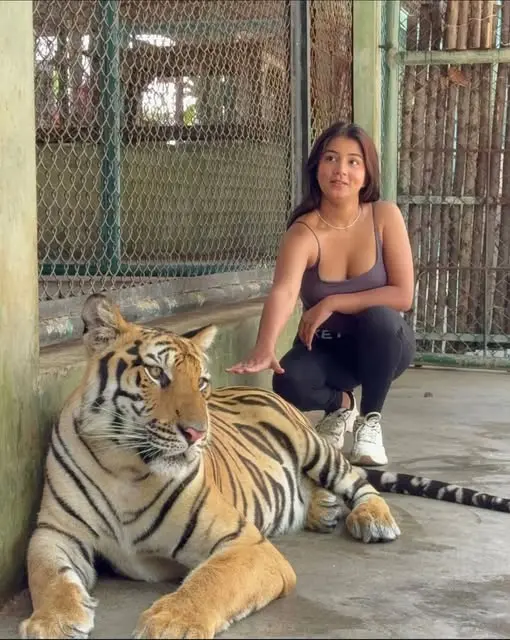 xasav91790 (18) female from GB - sexting partner